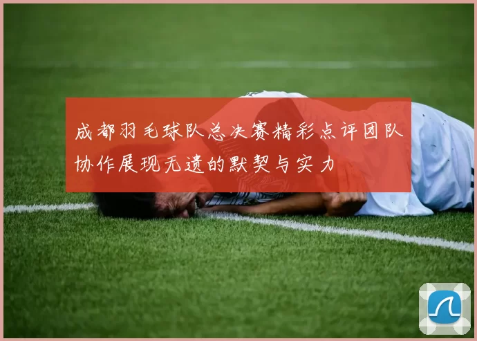 成都羽毛球队总决赛精彩点评团队协作展现无遗的默契与实力