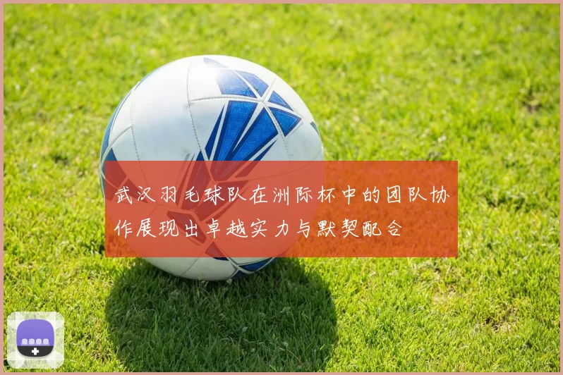 武汉羽毛球队在洲际杯中的团队协作展现出卓越实力与默契配合