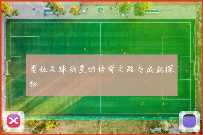 娄姓足球明星的传奇之路与成就探秘