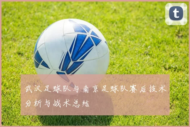 武汉足球队与南京足球队赛后技术分析与战术总结