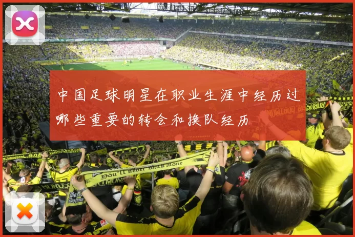 中国足球明星在职业生涯中经历过哪些重要的转会和换队经历