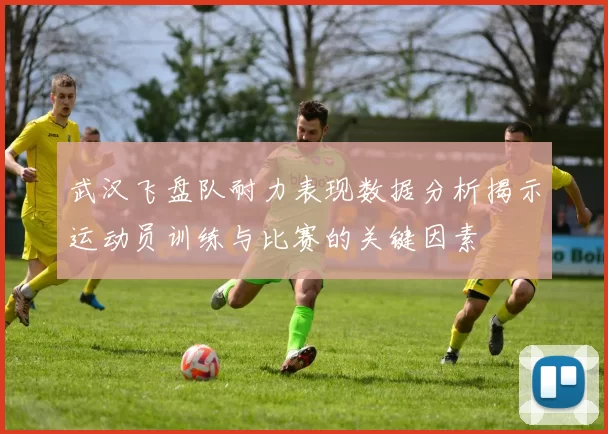 武汉飞盘队耐力表现数据分析揭示运动员训练与比赛的关键因素