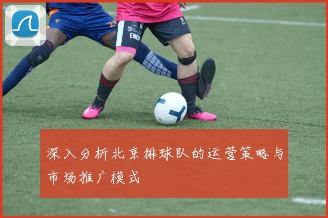 深入分析北京排球队的运营策略与市场推广模式
