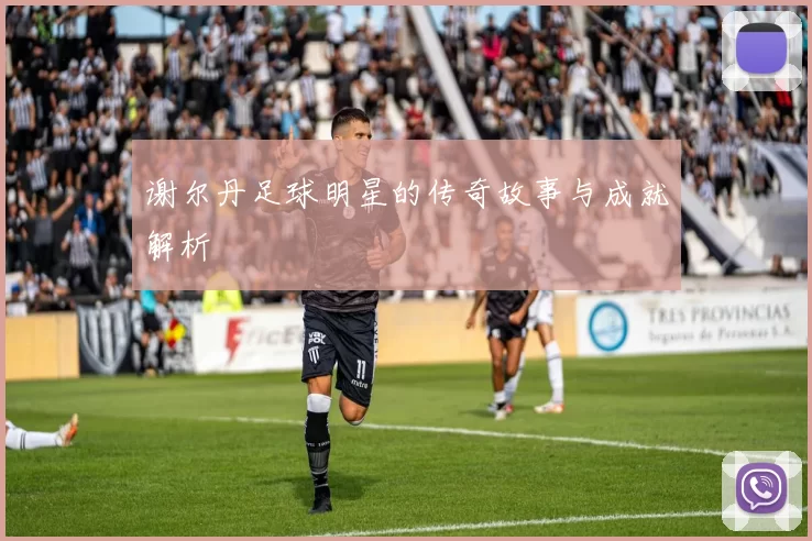 谢尔丹足球明星的传奇故事与成就解析
