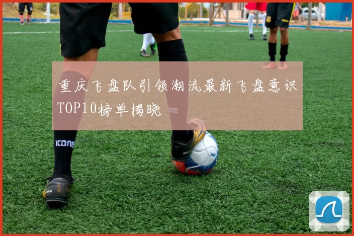 重庆飞盘队引领潮流最新飞盘意识TOP10榜单揭晓