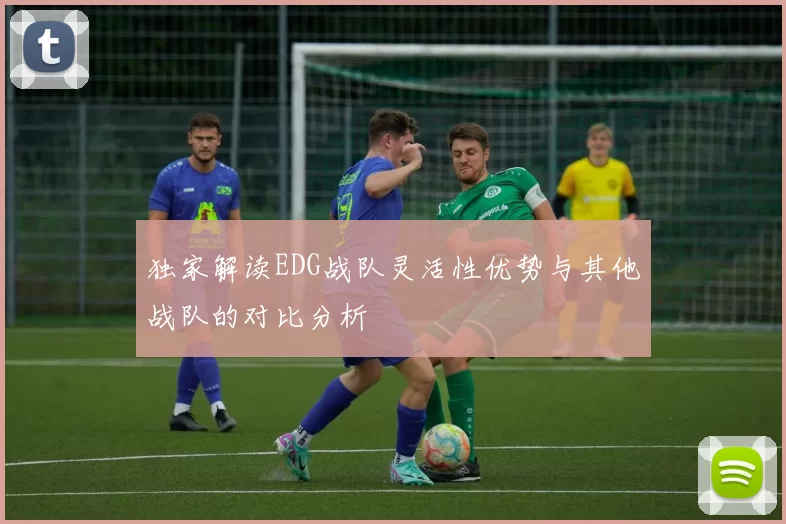 独家解读EDG战队灵活性优势与其他战队的对比分析