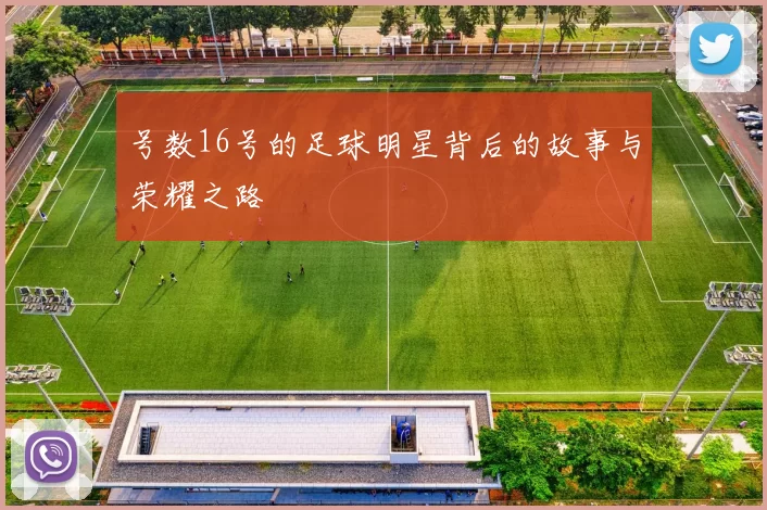 号数16号的足球明星背后的故事与荣耀之路