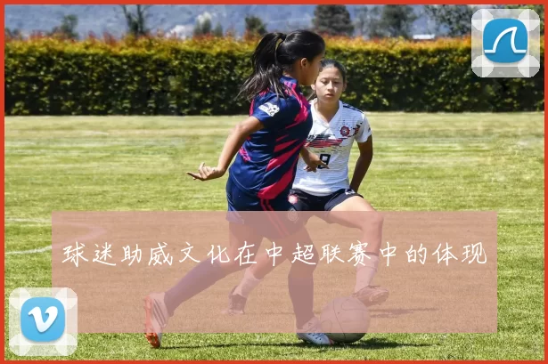 球迷助威文化在中超联赛中的体现