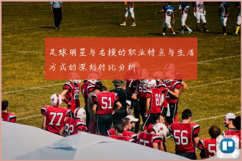 足球明星与名模的职业特点与生活方式的深刻对比分析