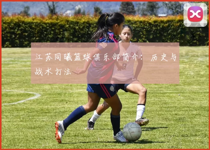 江苏同曦篮球俱乐部简介：历史与战术打法