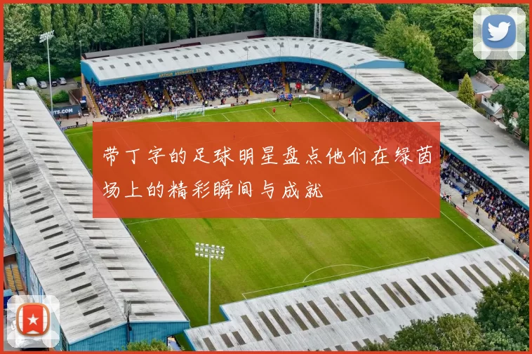 带丁字的足球明星盘点他们在绿茵场上的精彩瞬间与成就