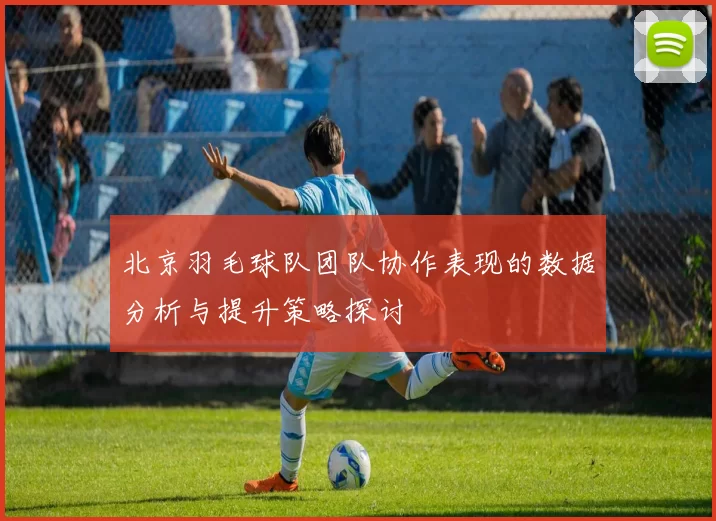 北京羽毛球队团队协作表现的数据分析与提升策略探讨
