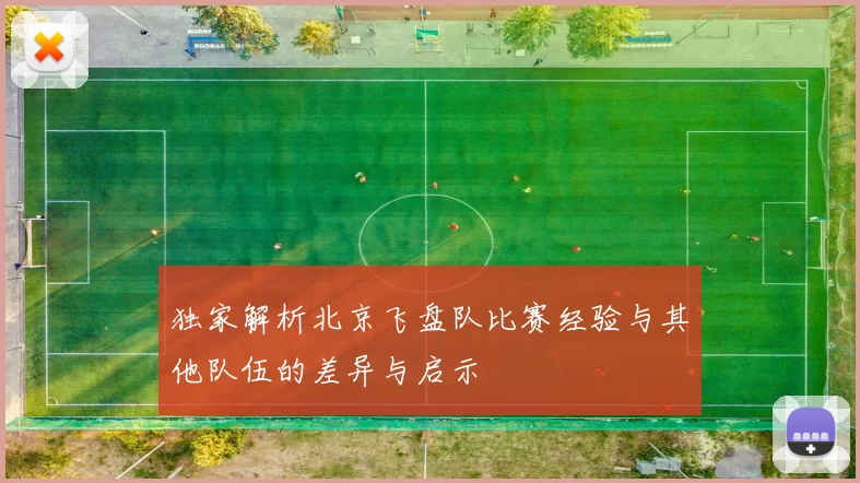 独家解析北京飞盘队比赛经验与其他队伍的差异与启示