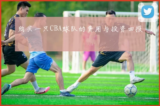 购买一只CBA球队的费用与投资回报